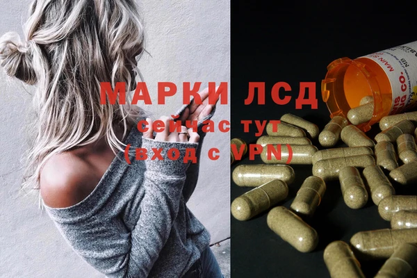 индика Елизово