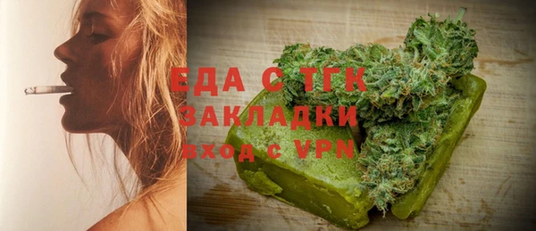 индика Елизово