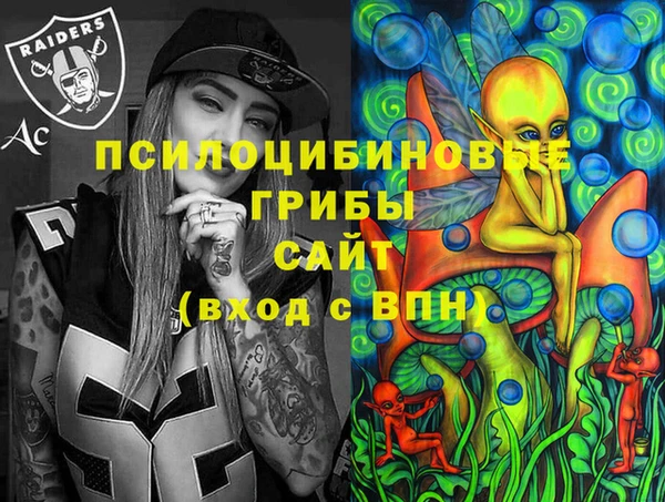 спайс Ельня