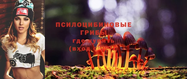 синтетический гашиш Дмитровск