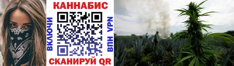Купить закладки  Малая Вишера  Каннабис тримм 